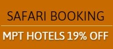 Pachmarhi Hotels Booking